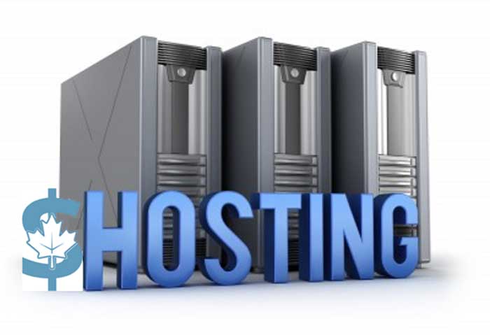 Why Go with Dollar One Hosting for Your Start Up?