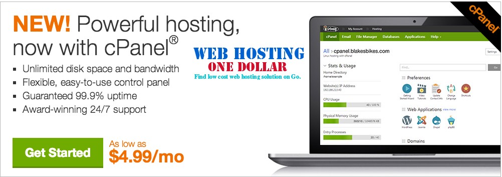 Godaddy Deluxe Linux hosting with cpanel plan