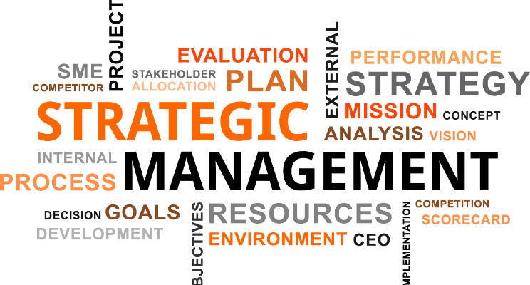 Management Strategy