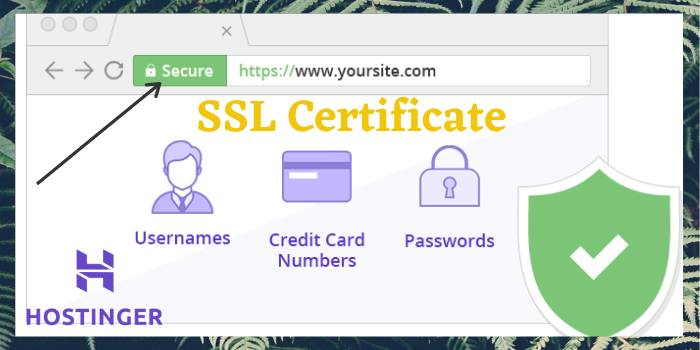 Hostinger SSL Certificate