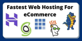 Fastest Web Hosting For eCommerce