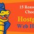 What is Hostgator WordPress Hosting Plans?
