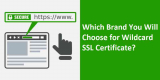 Which Brand You Will Choose for Wildcard SSL Certificate?